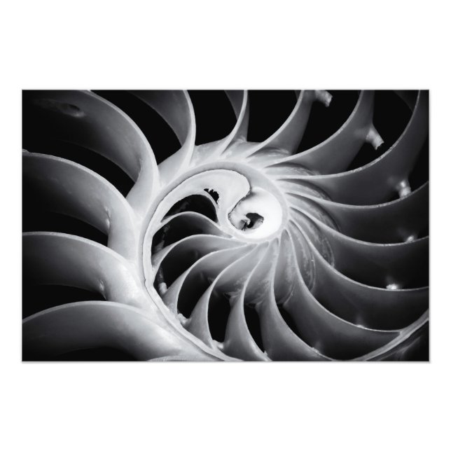 Impression Photo Le design de la nature (Devant)