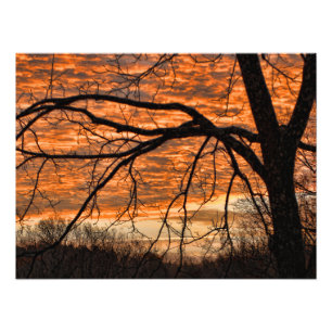 Impression Photo Le feu dans le ciel de matin d'hiver