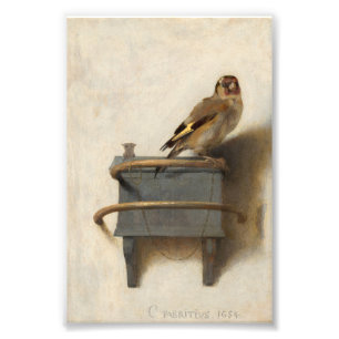 Impression Photo Le Goldfinch par Carel Fabritius