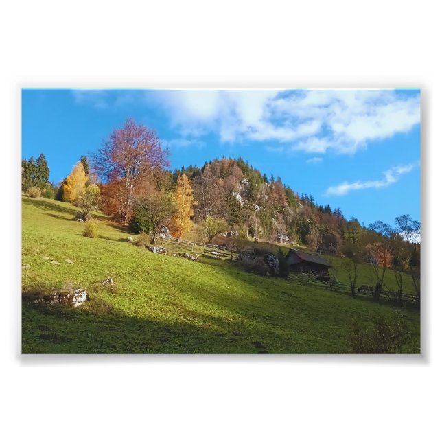 Impression Photo Le Haut Pré - Nature Sauvage Roumanie (Devant)