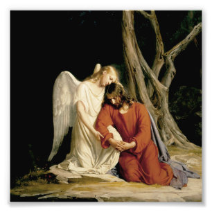 Impression Photo Le jardin de Gethsemane (22h39 de Luc - 46)