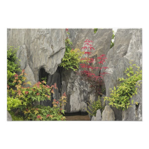 Impression Photo Le jardin de la famille Bao, Huangshan, Chine.