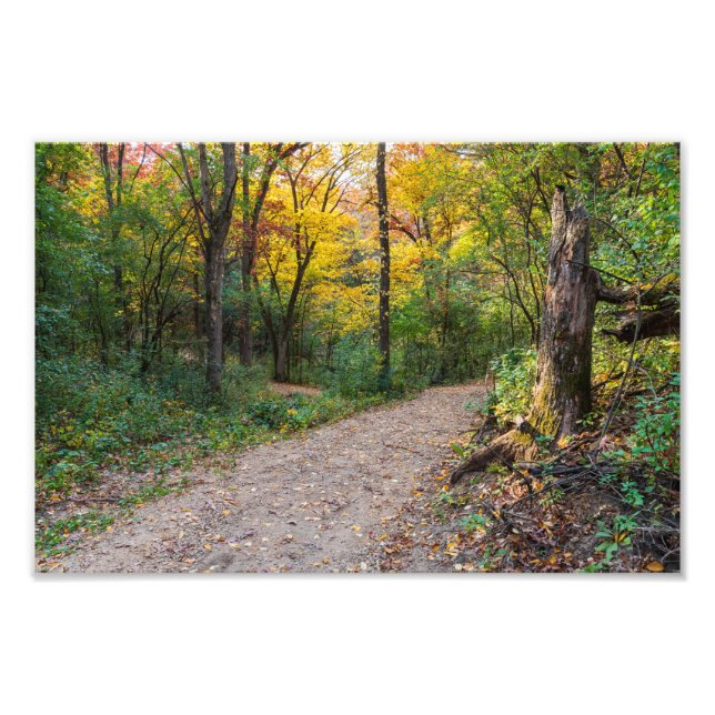 Impression Photo le long du sentier forestier sinueux des collines  (Devant)