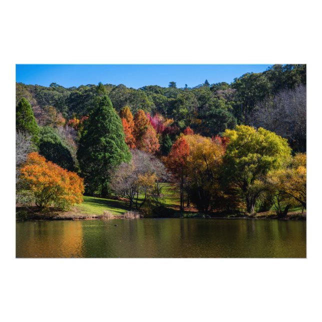 Impression Photo Le Mont Lofty Jardins botaniques Beau automne (Devant)