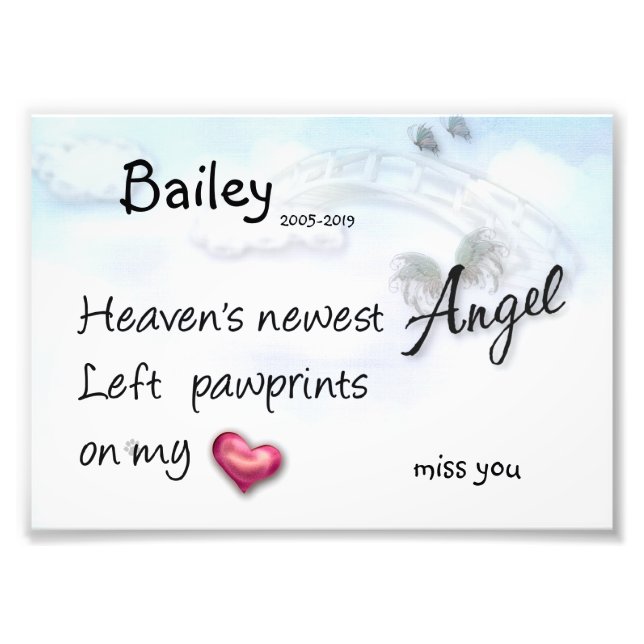 Impression Photo Le nouvel ange a laissé des empreintes de pattes s (Devant)