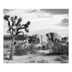 Impression Photo Le parc national de B&W Joshua Tree