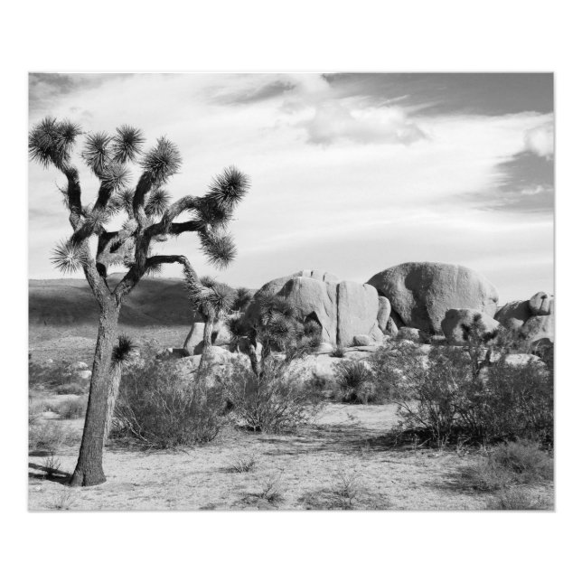Impression Photo Le parc national de B&W Joshua Tree (Devant)