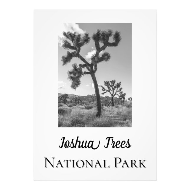 Impression Photo Le Parc national de Joshua Trees (Devant)