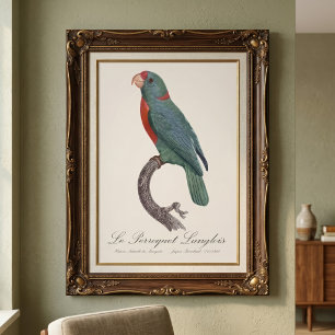 Impression Photo Le Perroquet Langlois