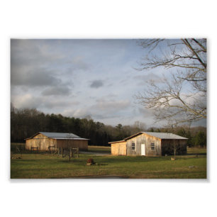 Impression Photo le soleil d'hiver