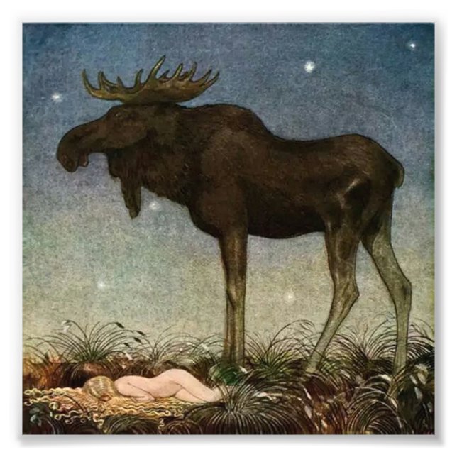 Impression Photo « Leap Finds the Sleeping Princess » par John Baue (Devant)