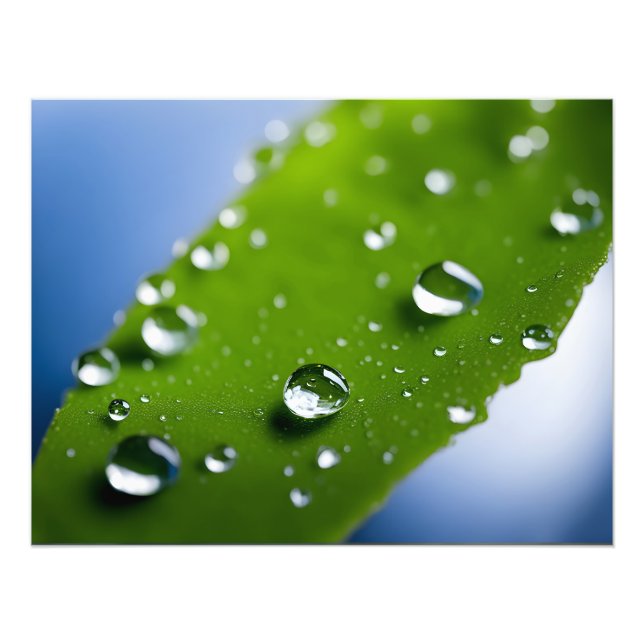 Impression Photo L'eau chute sur les feuille (Devant)