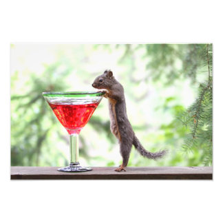 Impression Photo L'écureuil boit un cocktail