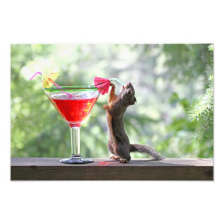 Impression Photo L'écureuil boit un cocktail à Happy Hour