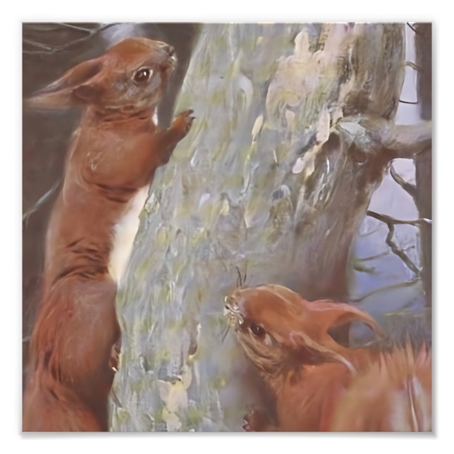 Impression Photo L'ÉCUREUIL (Sciurus vulgaris) (Devant)