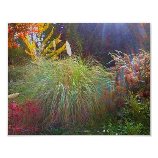 Impression Photo Légères rayons du soleil (Devant)