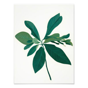 Impression Photo L'émeraude de la nature : une feuille verte sur fo