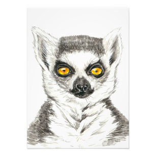 Impression Photo Lemur