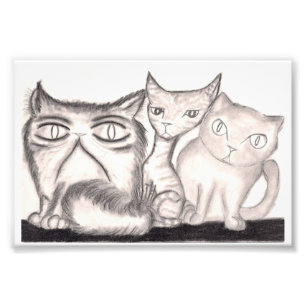 Impression Photo Les chats