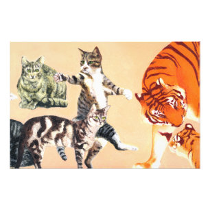 Impression Photo Les chats vont jouer