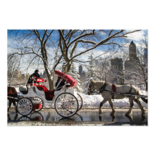 Impression Photo Les chevaux d'hiver à Central Park