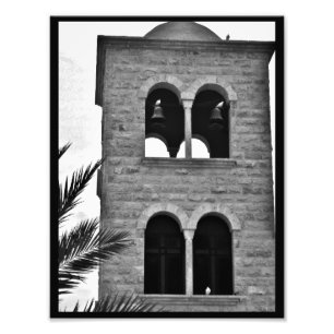 Impression Photo Les colombes et les pigeons