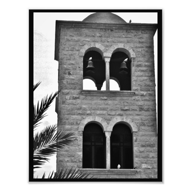 Impression Photo Les colombes et les pigeons (Devant)