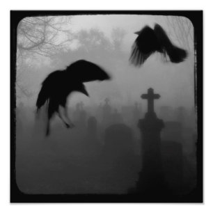 Impression Photo Les Corbeaux Gothiques Dansent Dans L'Obscurité
