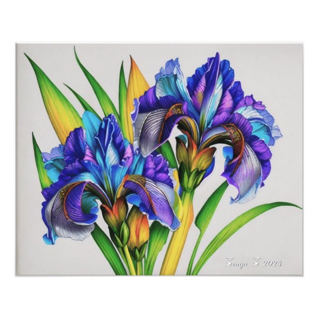 Impression Photo Les fleurs d'Iris, les belles fleurs de printemps (Devant)
