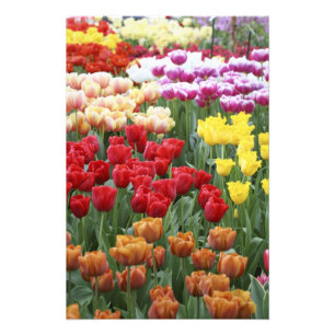 Impression Photo Les jardins de Keukenhof, Hollande, se spécialisen