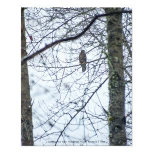 Impression Photo Les jeunes sur le bord du chemin