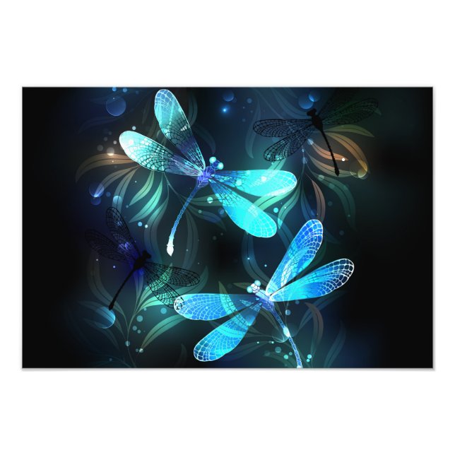 Impression Photo Les libellules du lac (Devant)