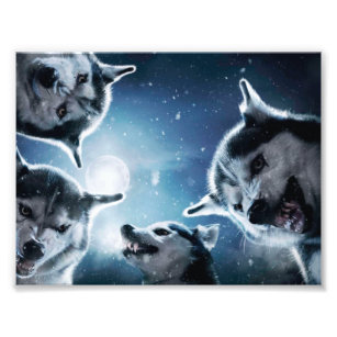 Impression Photo Les loups en colère et la lune