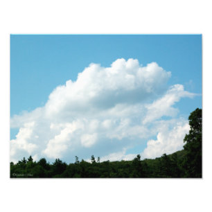 Impression Photo Les nuages rencontrent les arbres