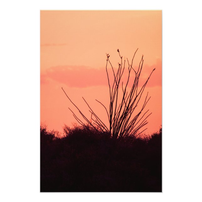 Impression Photo Les nuits désertiques (Devant)