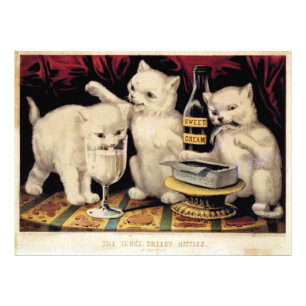 Impression Photo Les Trois Kitties Gourmandes À La Fête Ives