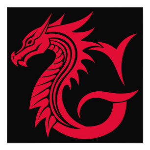 Impression Photo Lettre G de style dragon, alphabet du dragon, mono