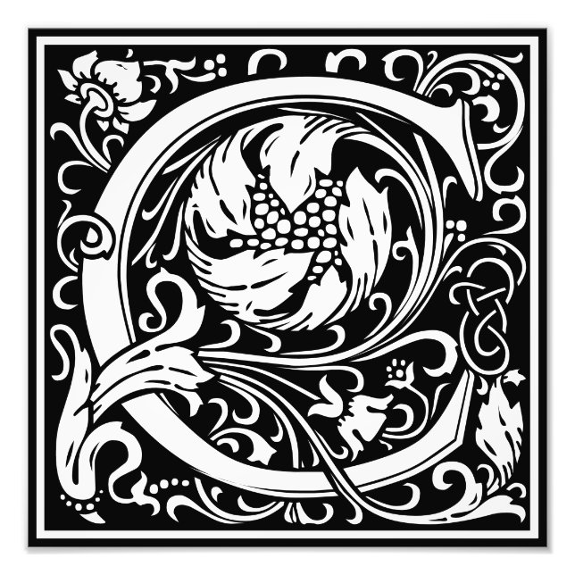 Impression Photo LETTRE MONOGRAPHIQUE C Alphabet Floral Imprimer (Devant)