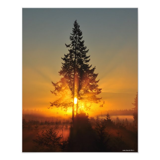 Impression Photo Lever de soleil 16X20 dans le Grand Nord-Ouest (Devant)