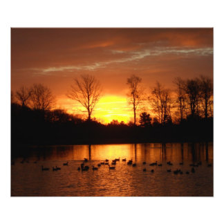 Impression Photo lever de soleil d'automne