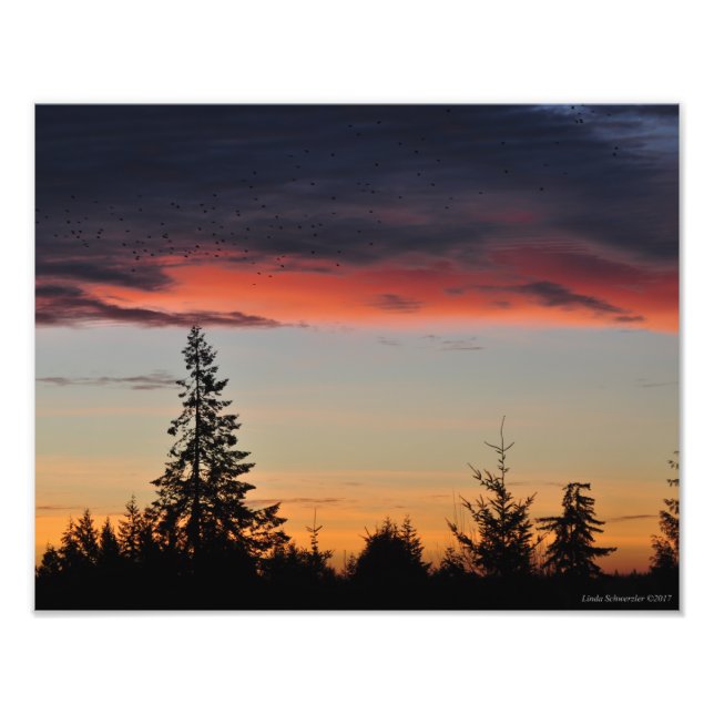 Impression Photo Lever du soleil et arbres (Devant)