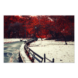 Impression Photo L'hiver rencontre l'automne dans le Central Park,