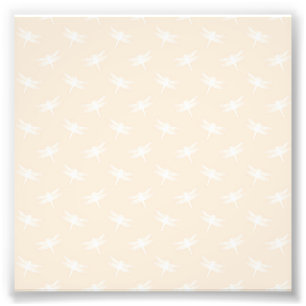 Impression Photo Libellule blanche Odonata insecte volant pastel