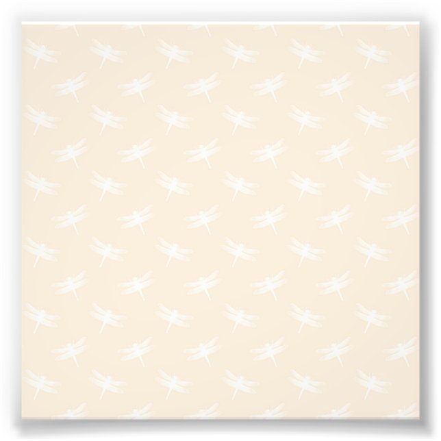 Impression Photo Libellule blanche Odonata insecte volant pastel (Devant)