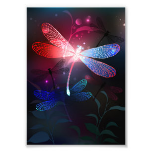 Impression Photo libellule rouge brillante