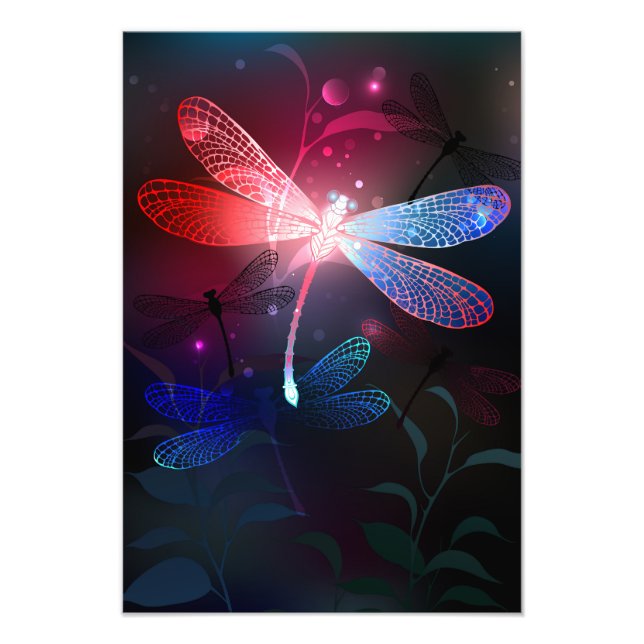 Impression Photo libellule rouge brillante (Devant)