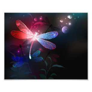 Impression Photo libellule rouge brillante