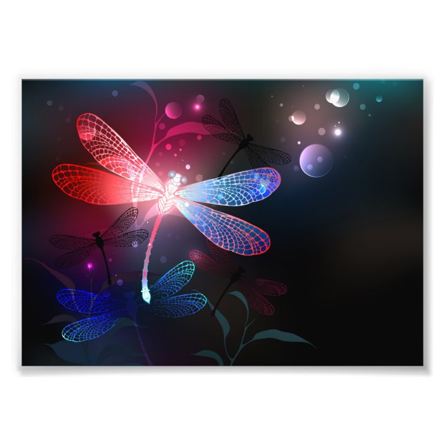 Impression Photo libellule rouge brillante (Devant)