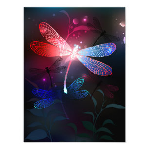 Impression Photo libellule rouge brillante