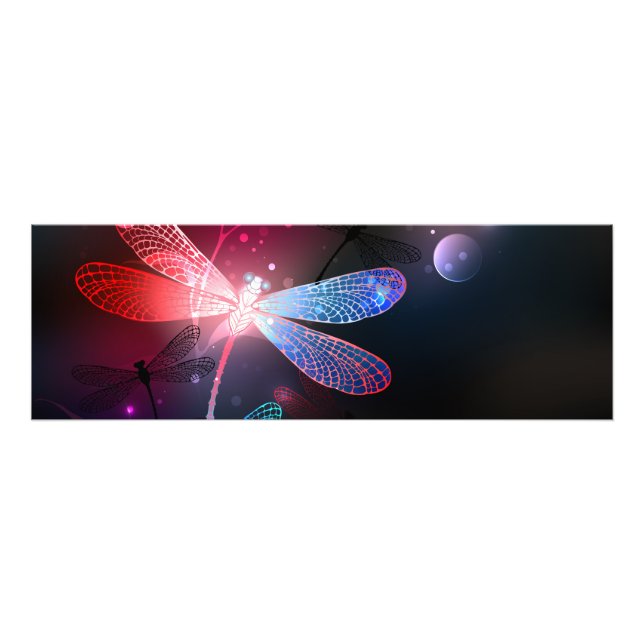 Impression Photo libellule rouge brillante (Devant)